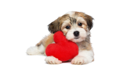 image for Valentine’s Day Treats to Keep to Yourself!
